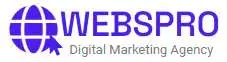 webspro india logo